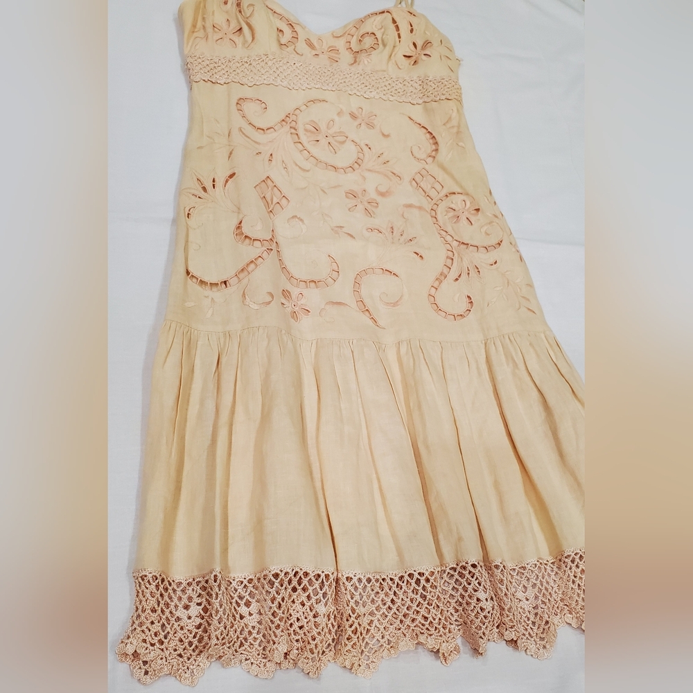 Luxe Beige Embroidered Mini Dress - Picture 2 of 4
